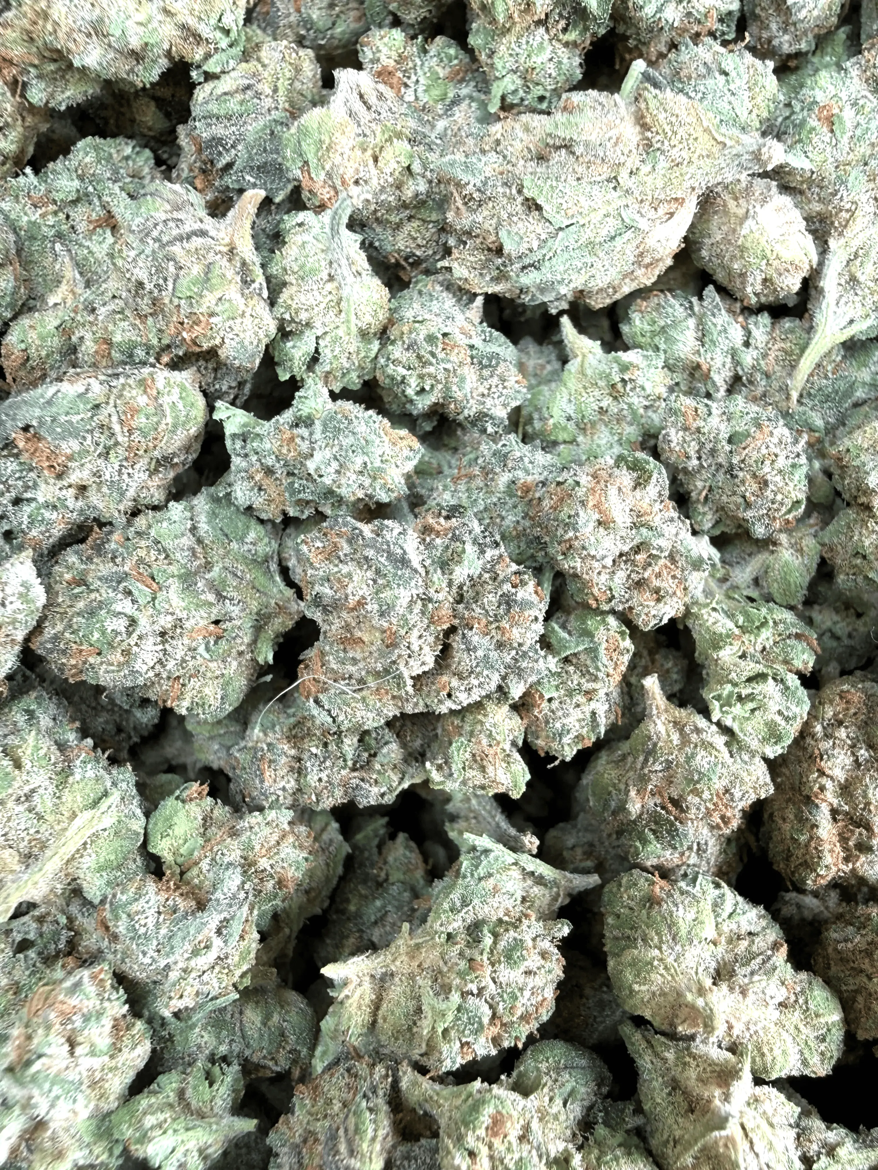 1 Pound - Slurricane THCA Strain (Smalls) - Image 2