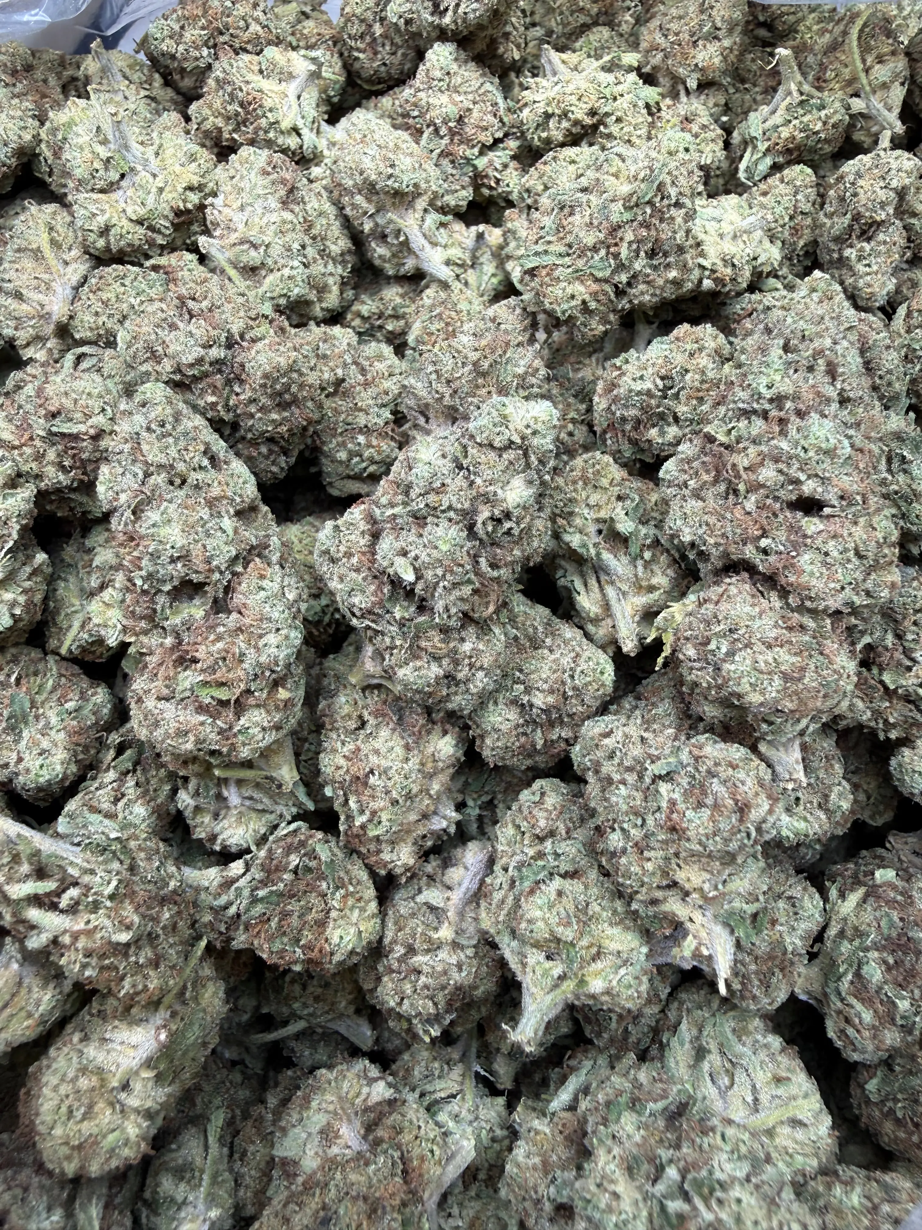 1 Pound - Sugar Bread THCA Flower - Image 4