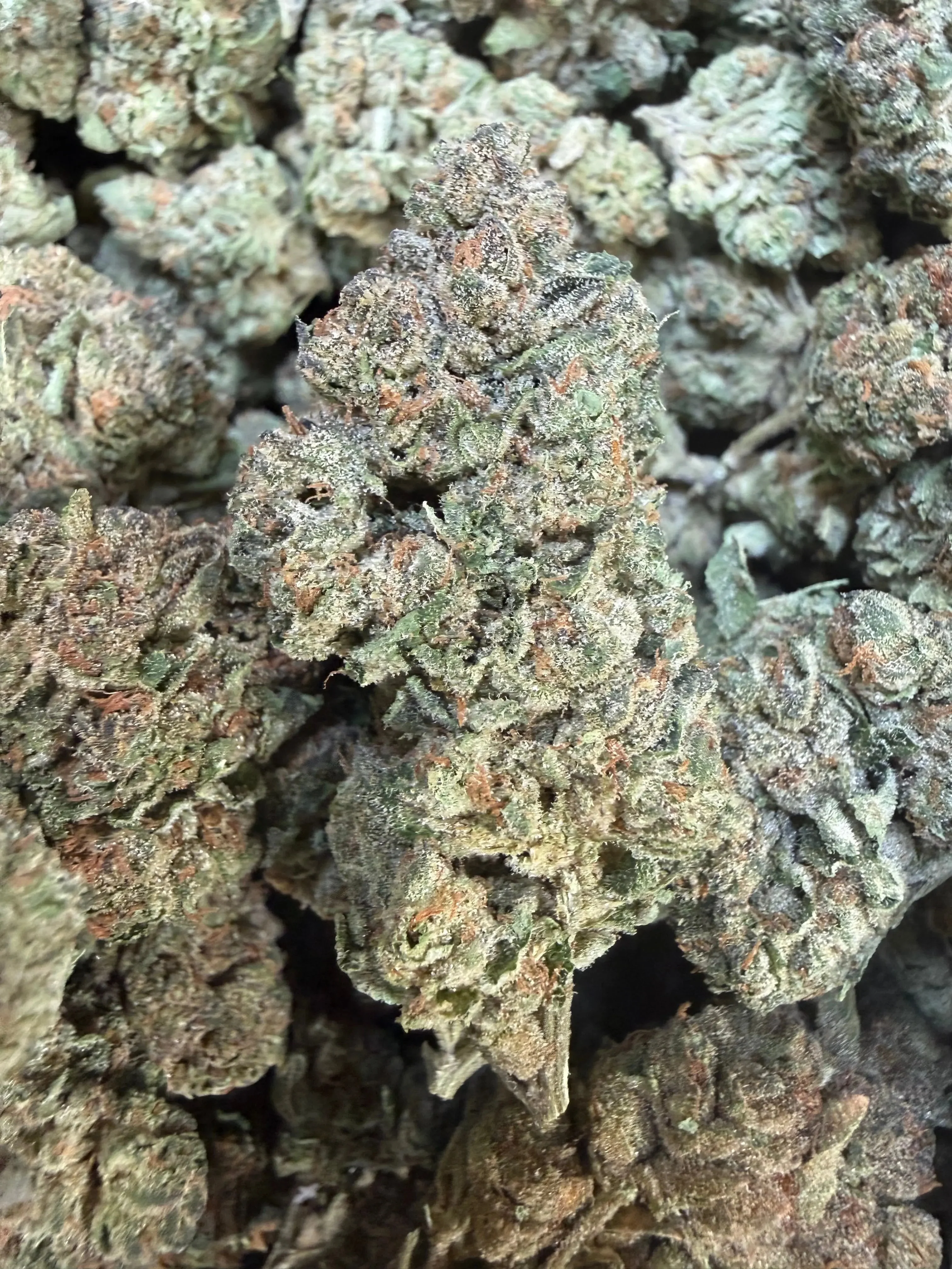 1 Pound - Trap Jelly Reserve THCA Flower