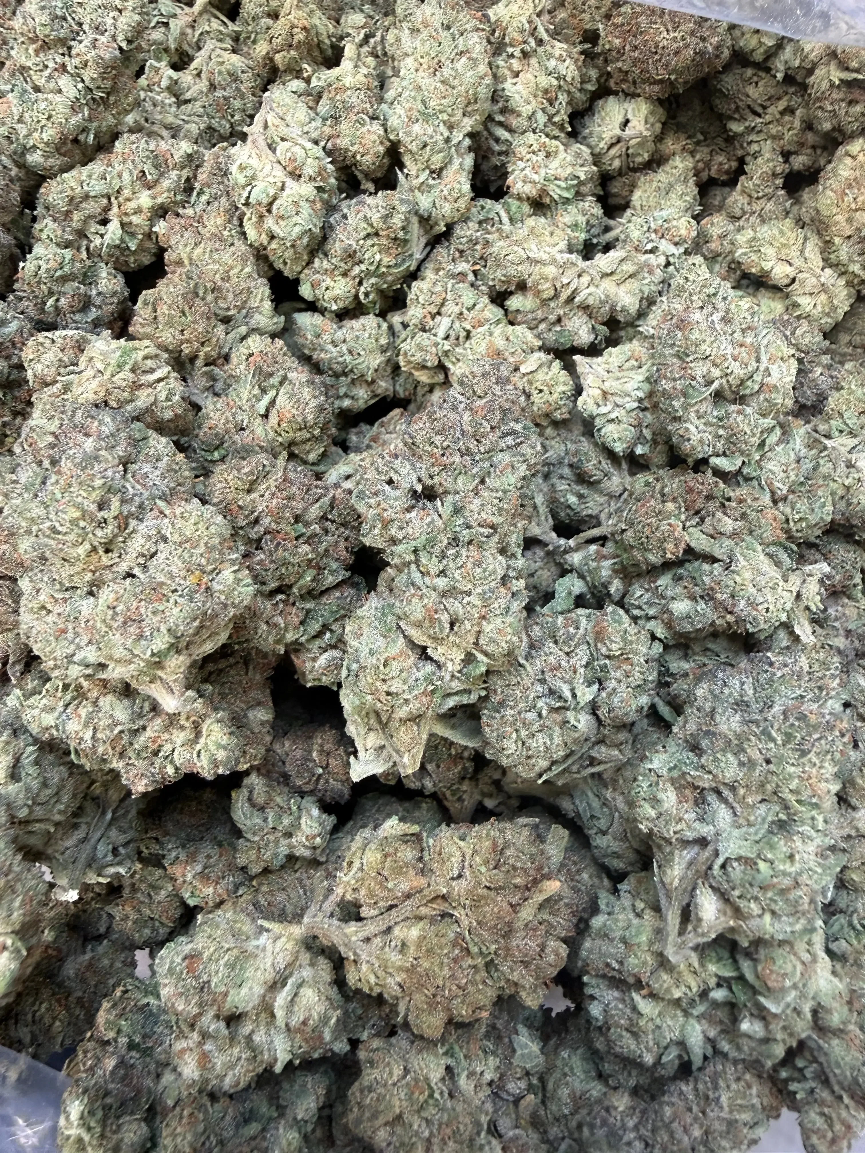 1 Pound - Trap Jelly Reserve THCA Flower - Image 3