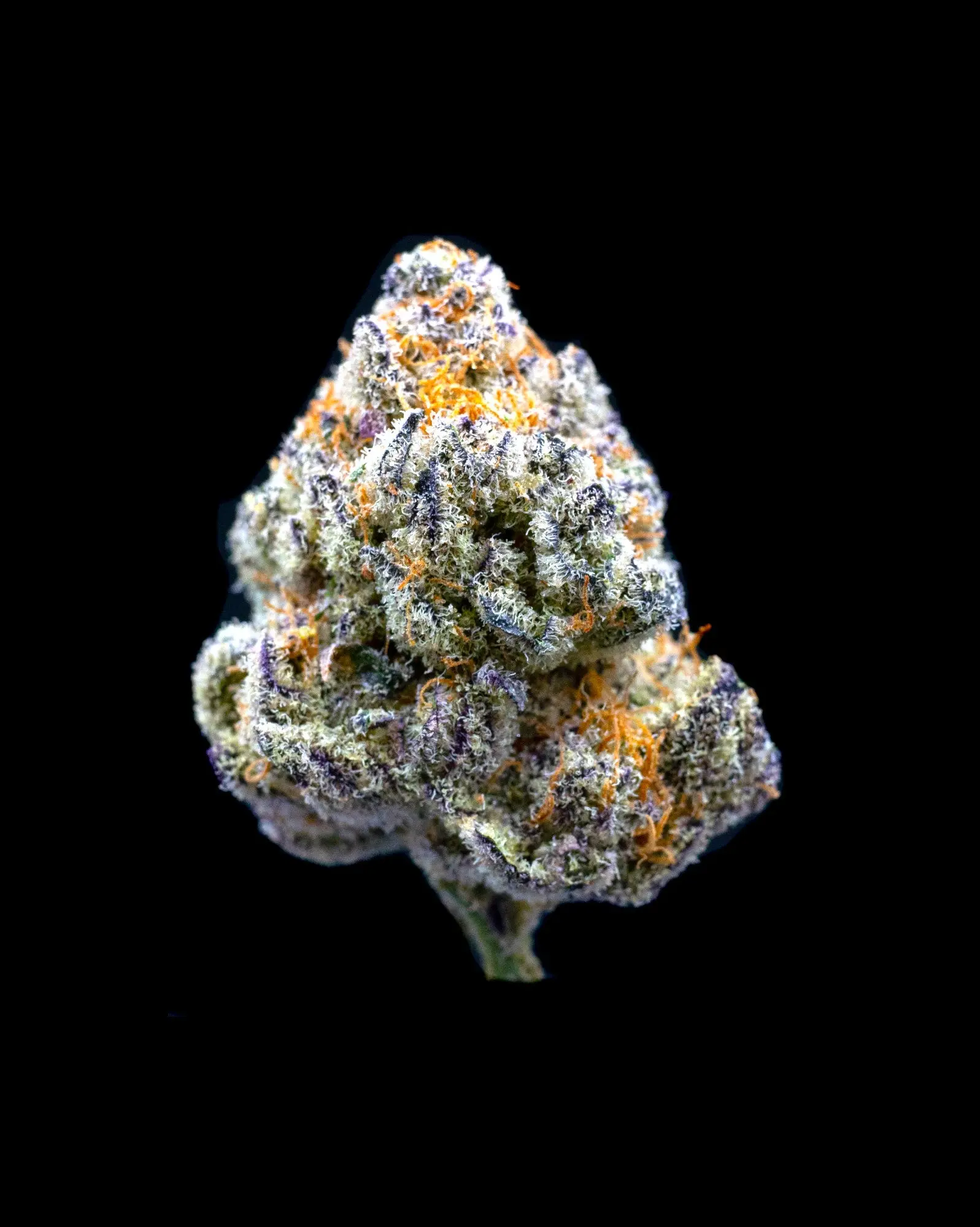 AAA Indoor Exotic - ADL THCA Strain
