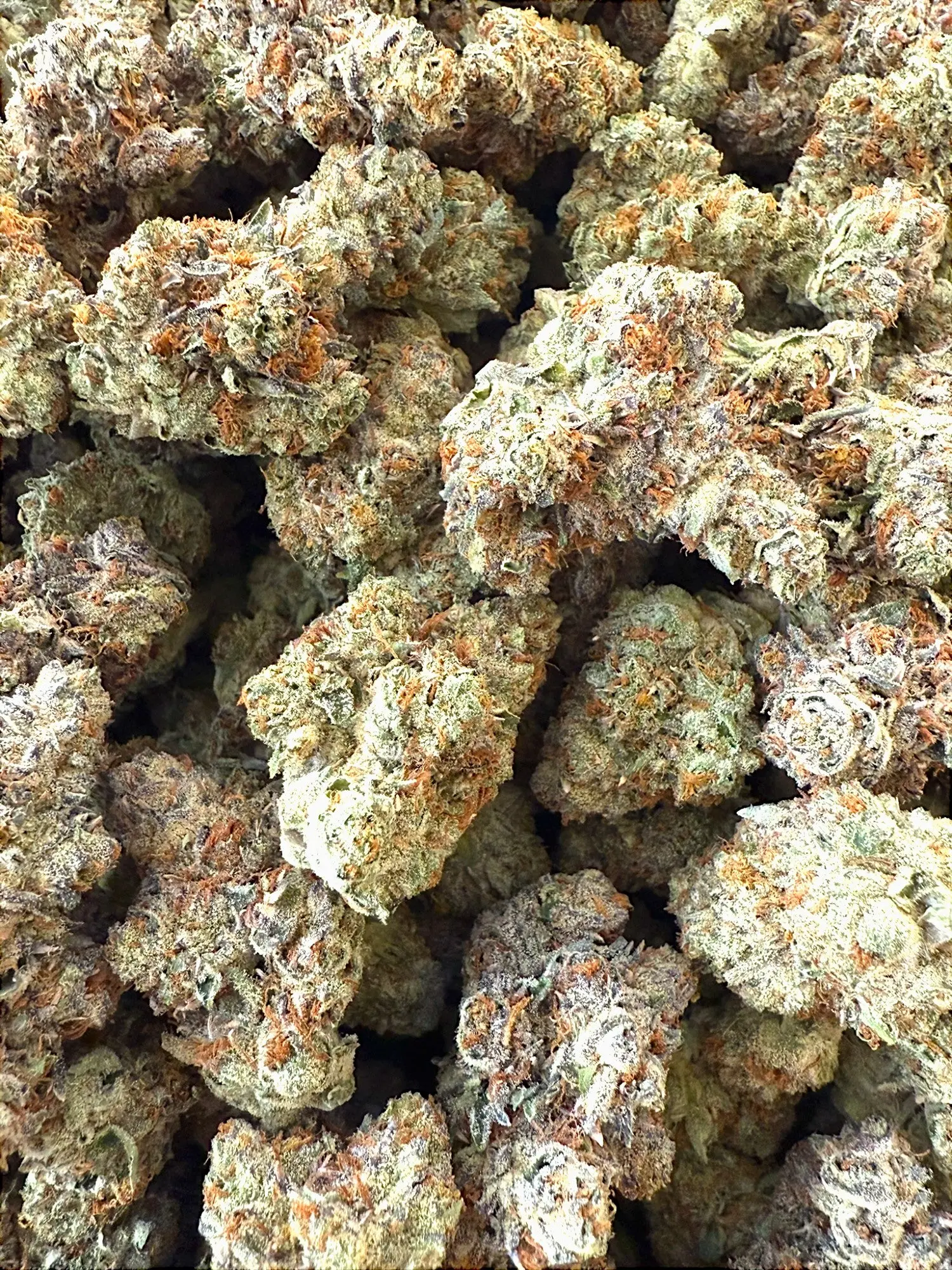 AAA Indoor Exotic - Lemon Cherry Gelato THCA Strain - Image 3