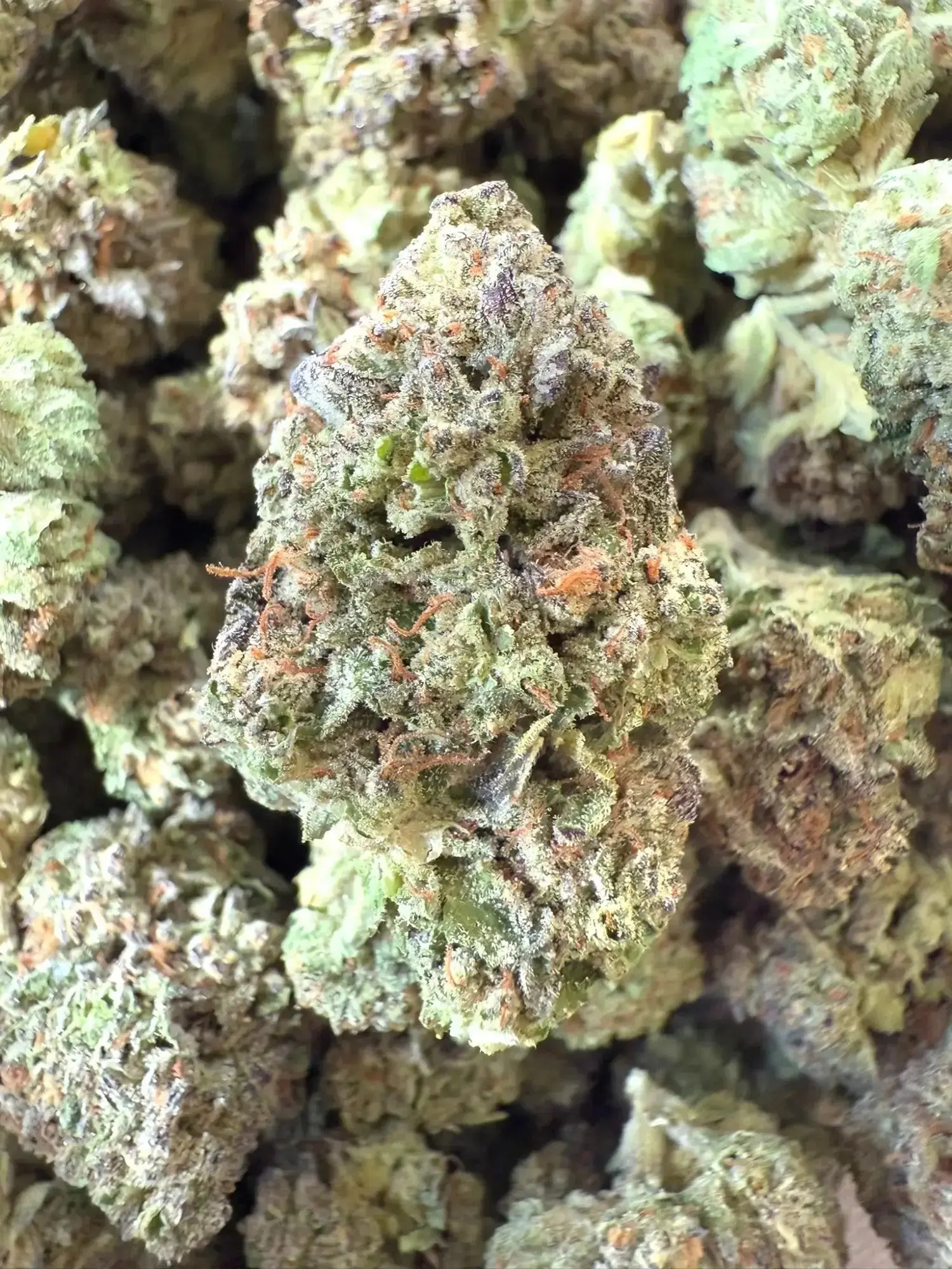 Exotic Ice Cream Cake THCA Strain - Image 2