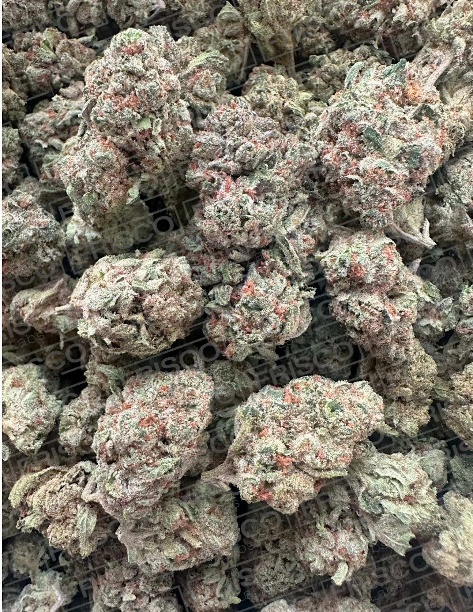Exotic Indoor - Original Glue Strain - Image 3