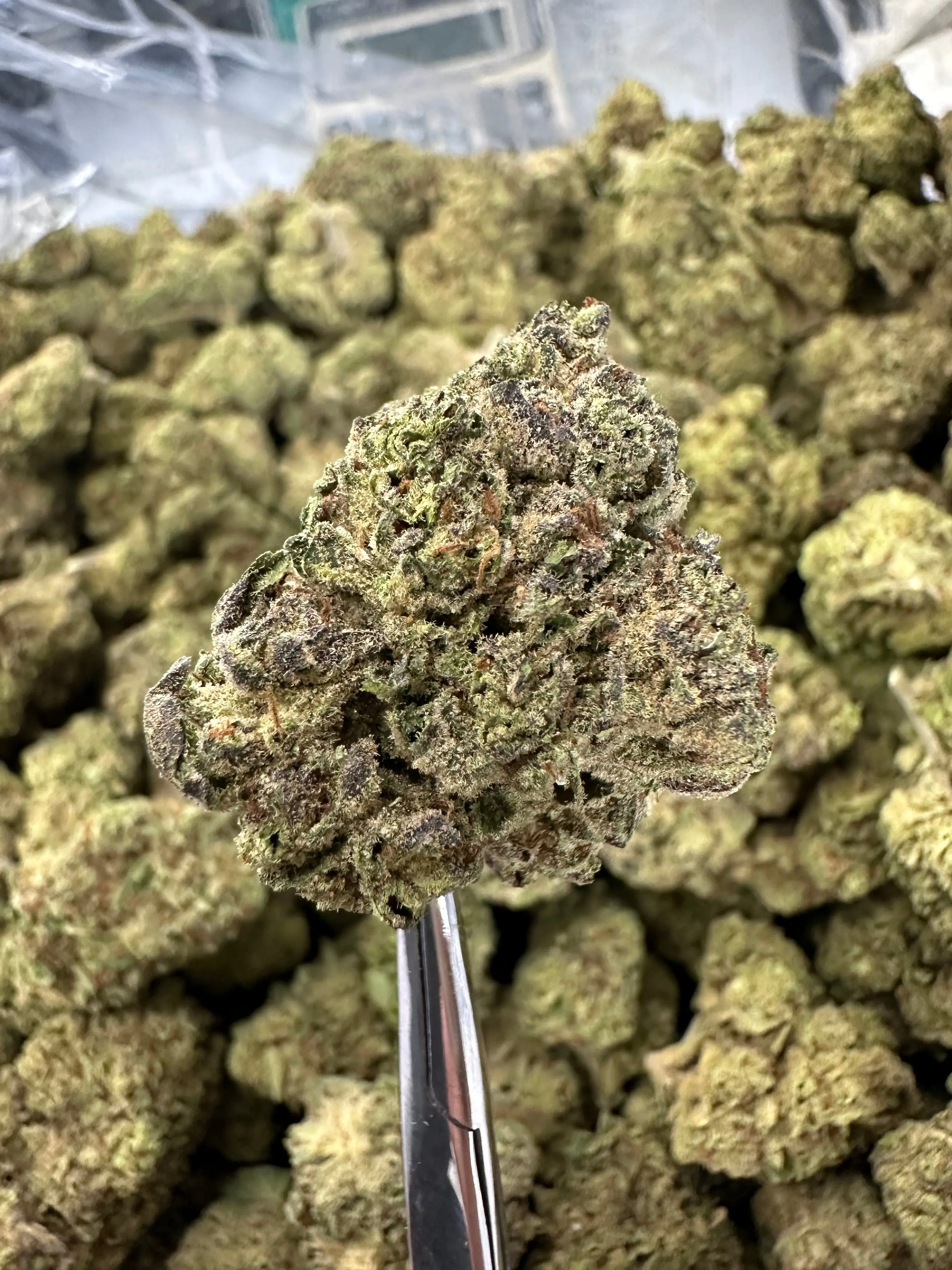 Frisco Labs - Apple Fritter THCA - Image 2