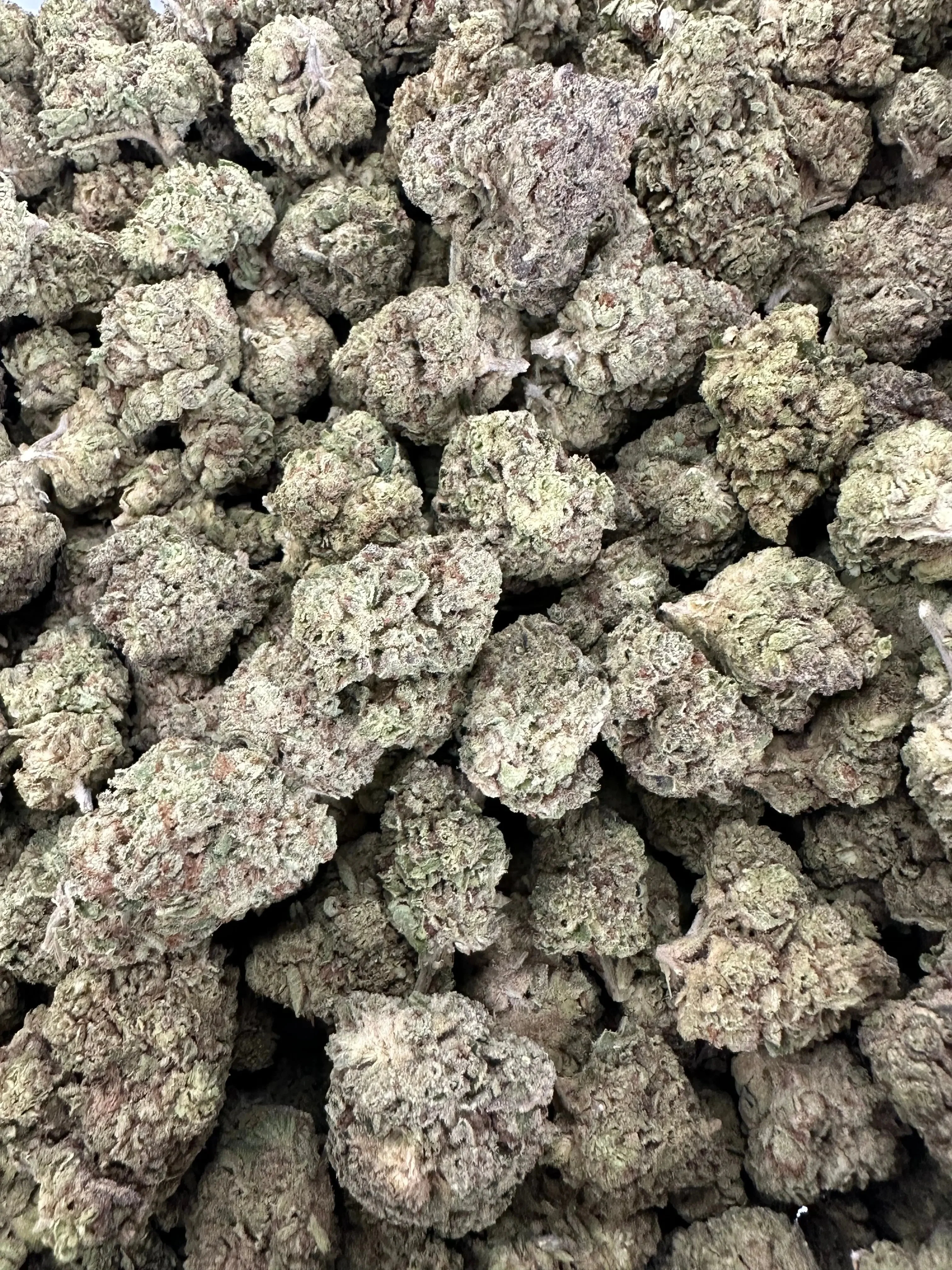 Frisco Labs - Apple Fritter THCA - Image 3