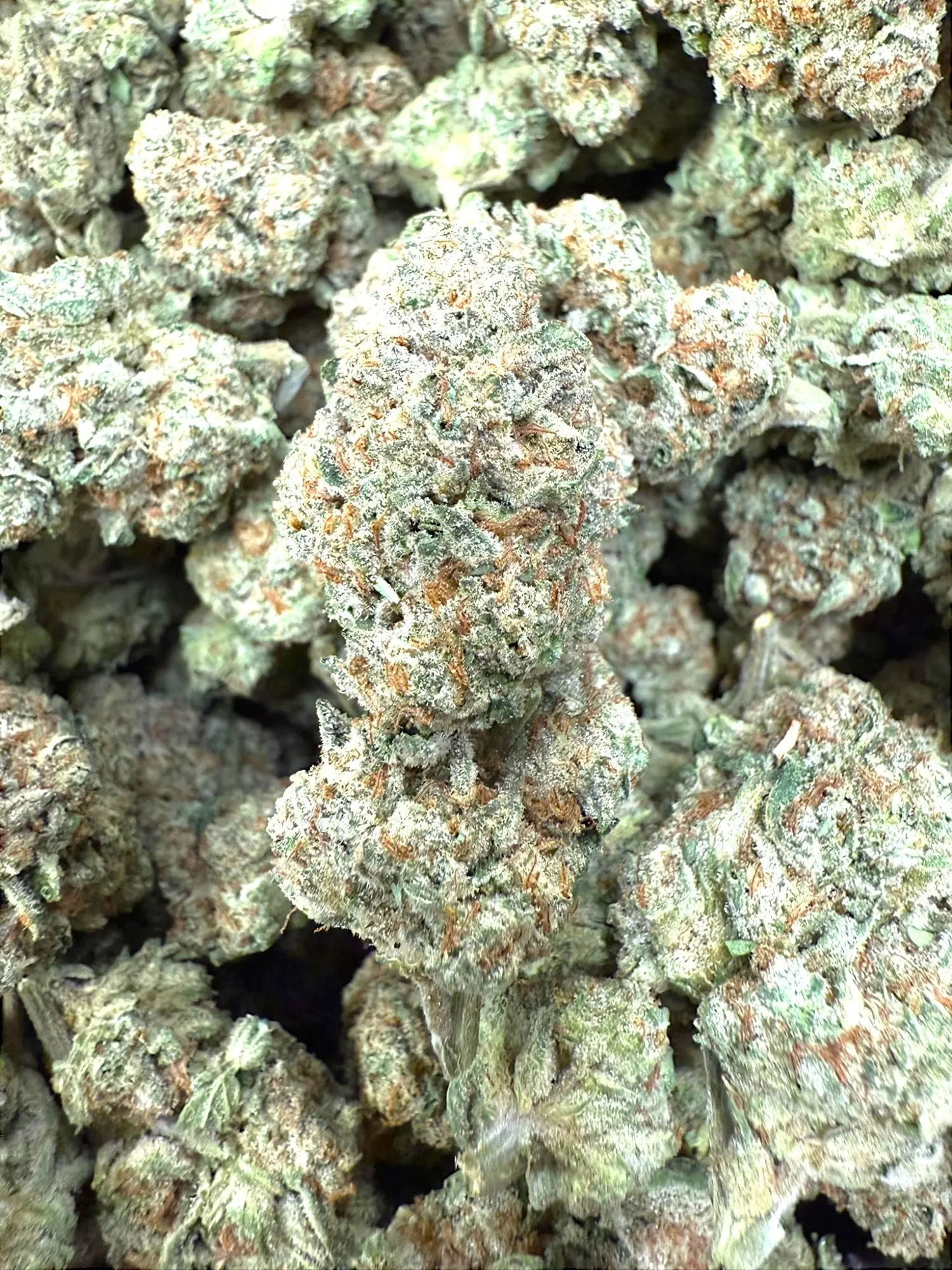 Frisco Labs - Exotic Apple Tartz THCA - Image 2