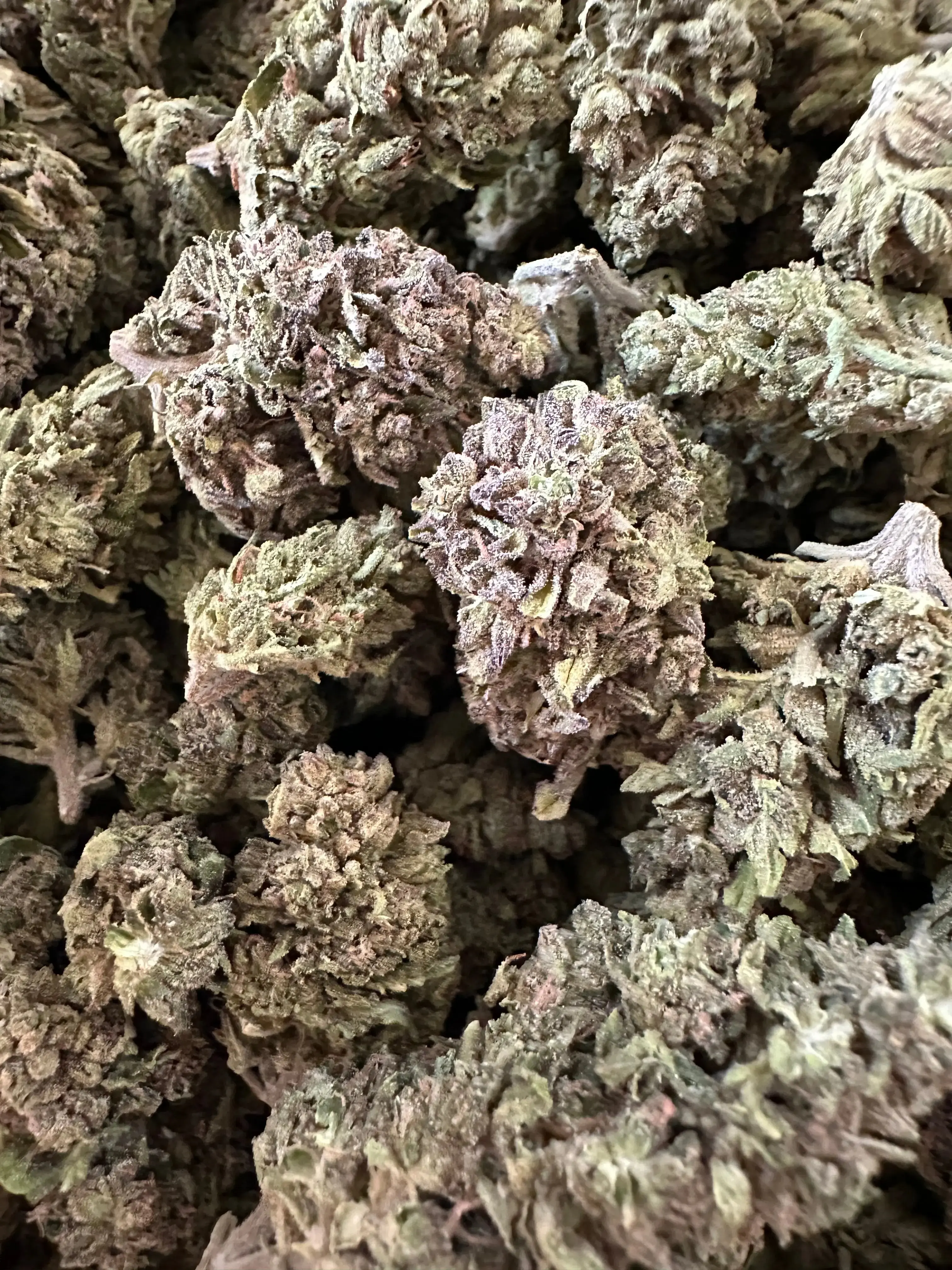1 Pound - Exotic Indoor Gas Candy THCA - Image 3