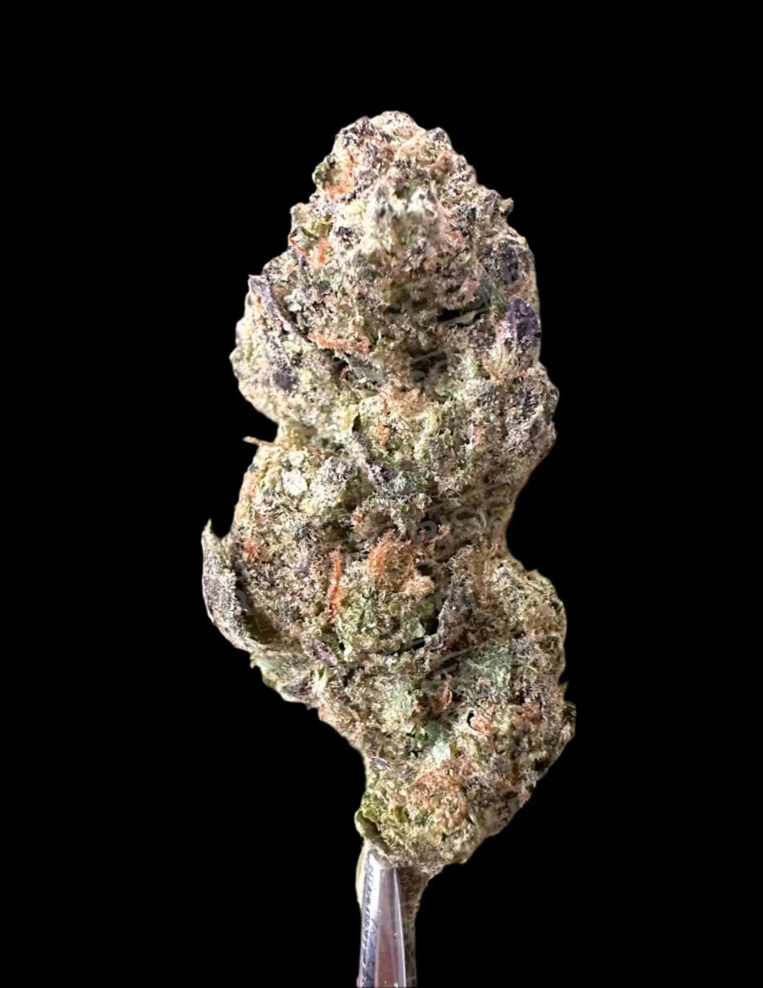 Frisco Labs Exotic Indoor Hash Burger THCA Strain - Image 4