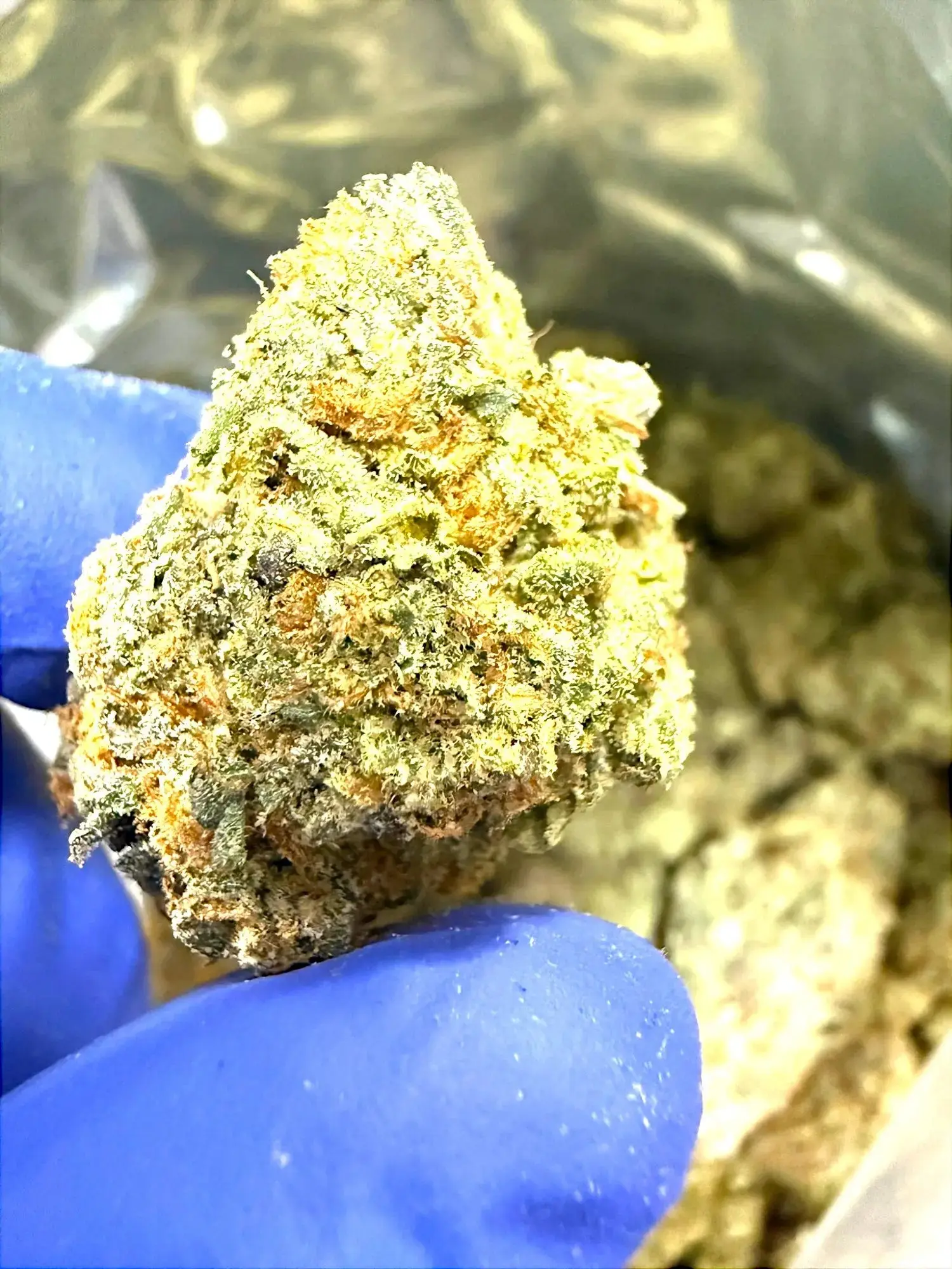 Frisco Labs - Exotic Indoor Smurfette THCA - Image 3