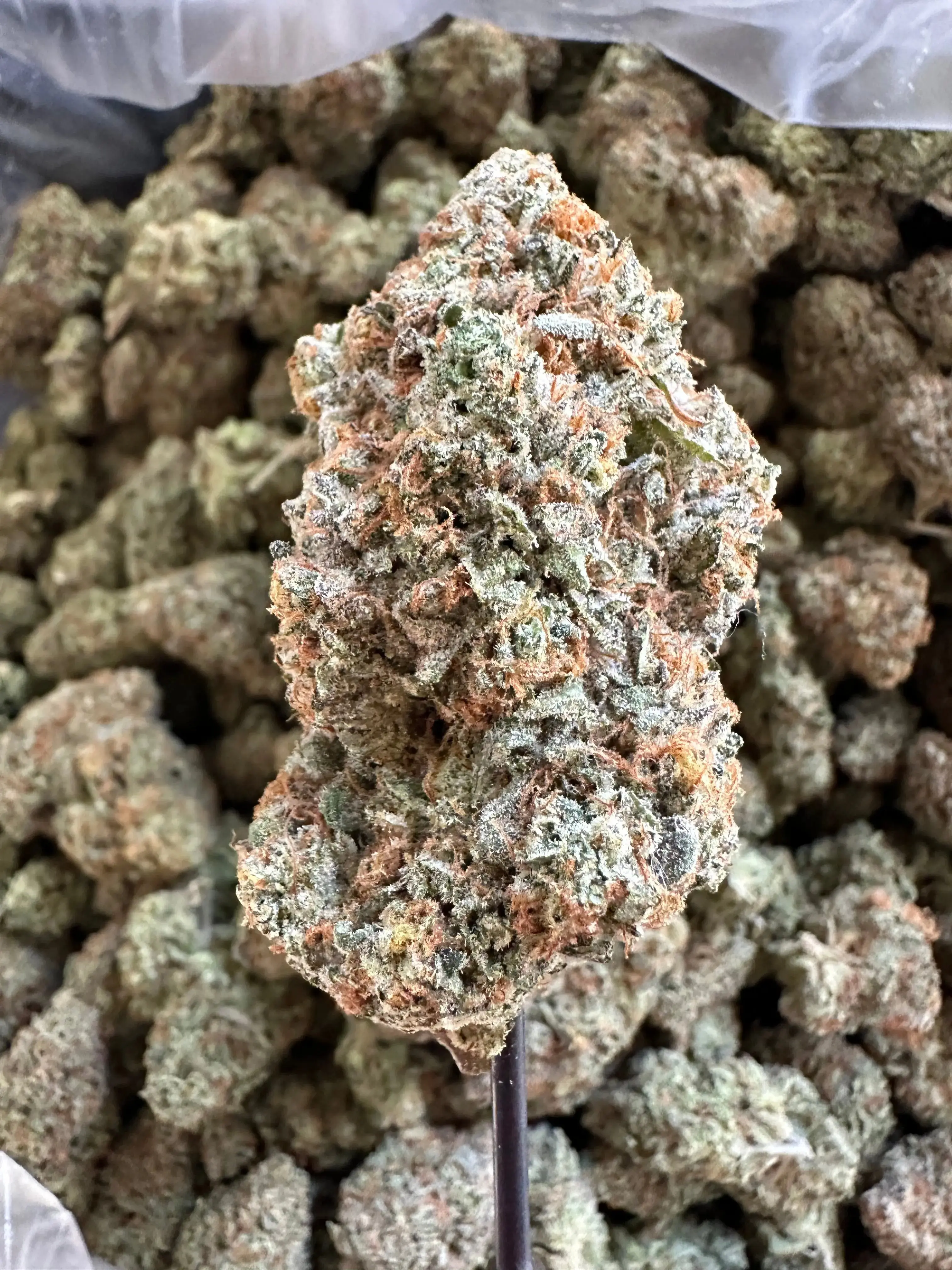 Frisco Labs - Exotic Indoor Smurfette THCA - Image 4