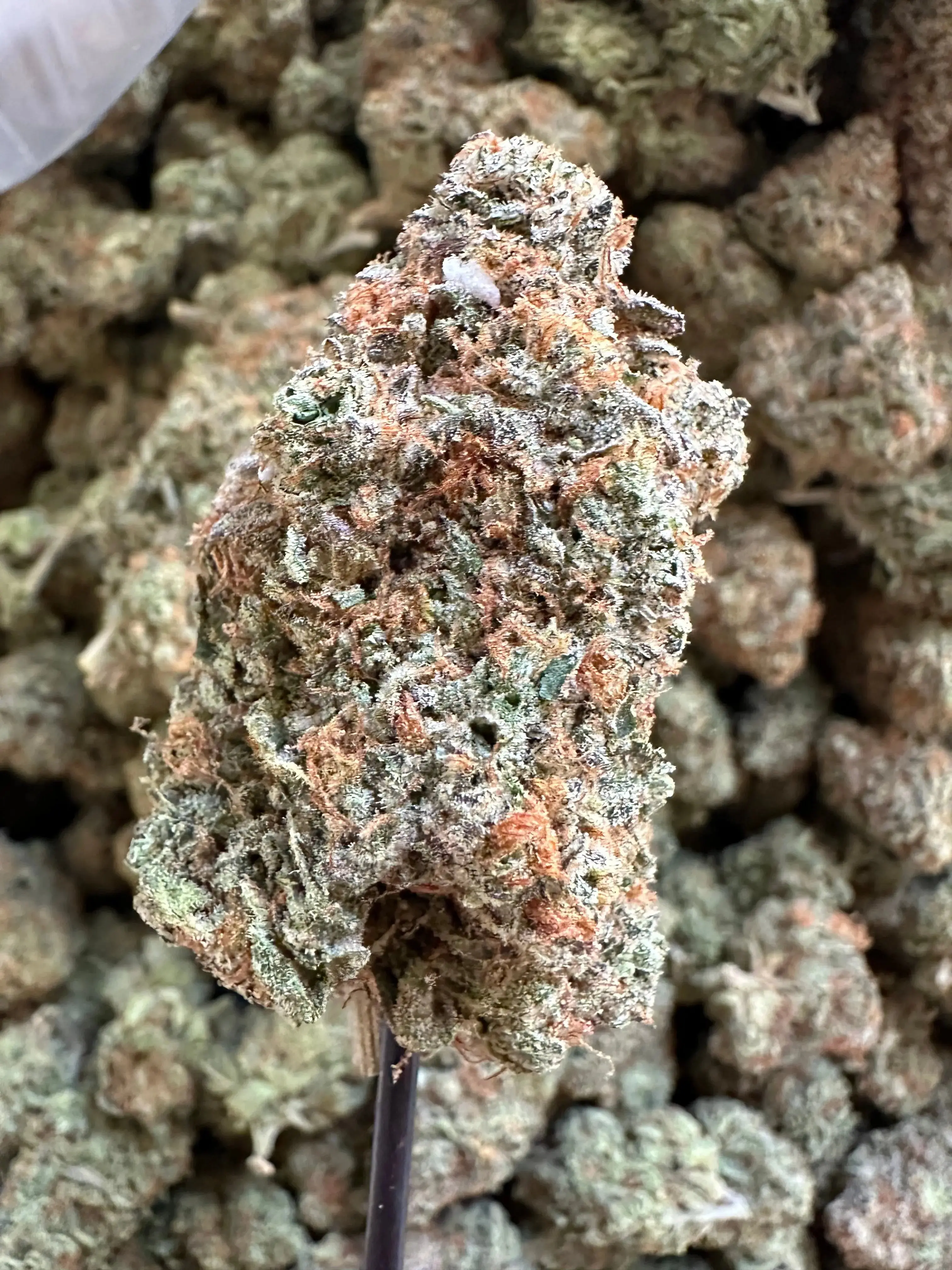 Frisco Labs - Exotic Indoor Smurfette THCA - Image 6
