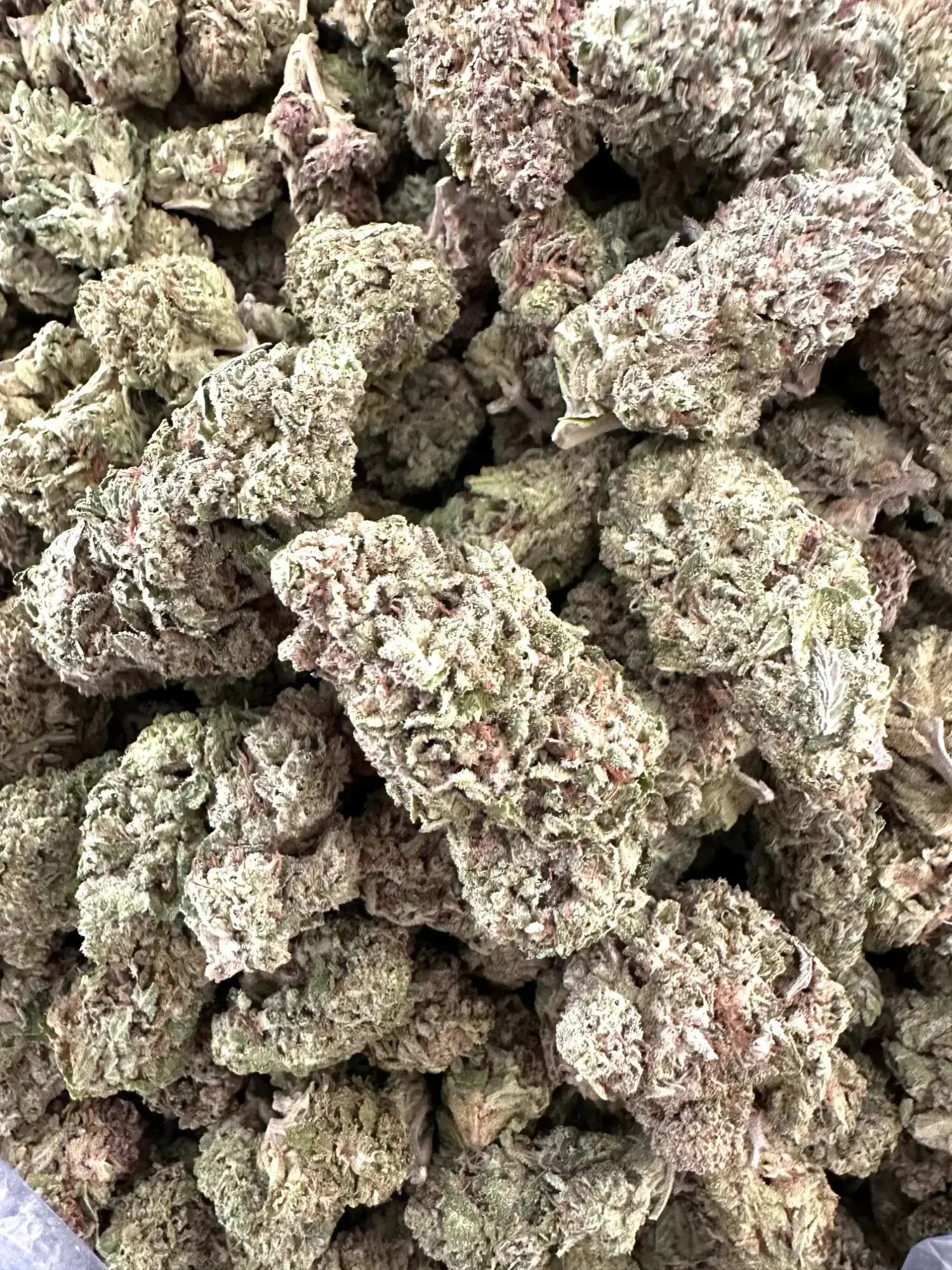 1 Pound - Exotic Wedding Crasher THCA Strain - Image 3