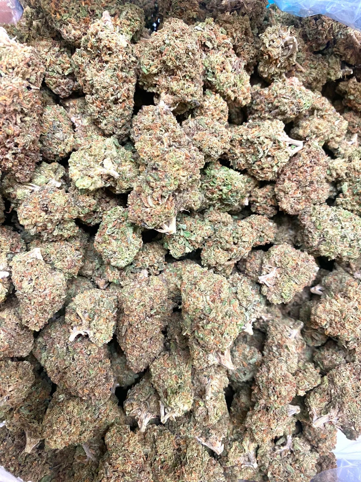 Frisco Labs - Ghost OG THCA Strain - Image 2