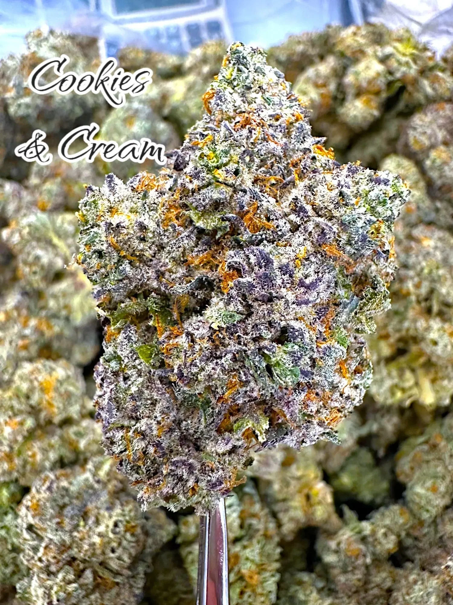 Frisco Labs - Indoor Exotic - Cookies And Cream THCA Strain