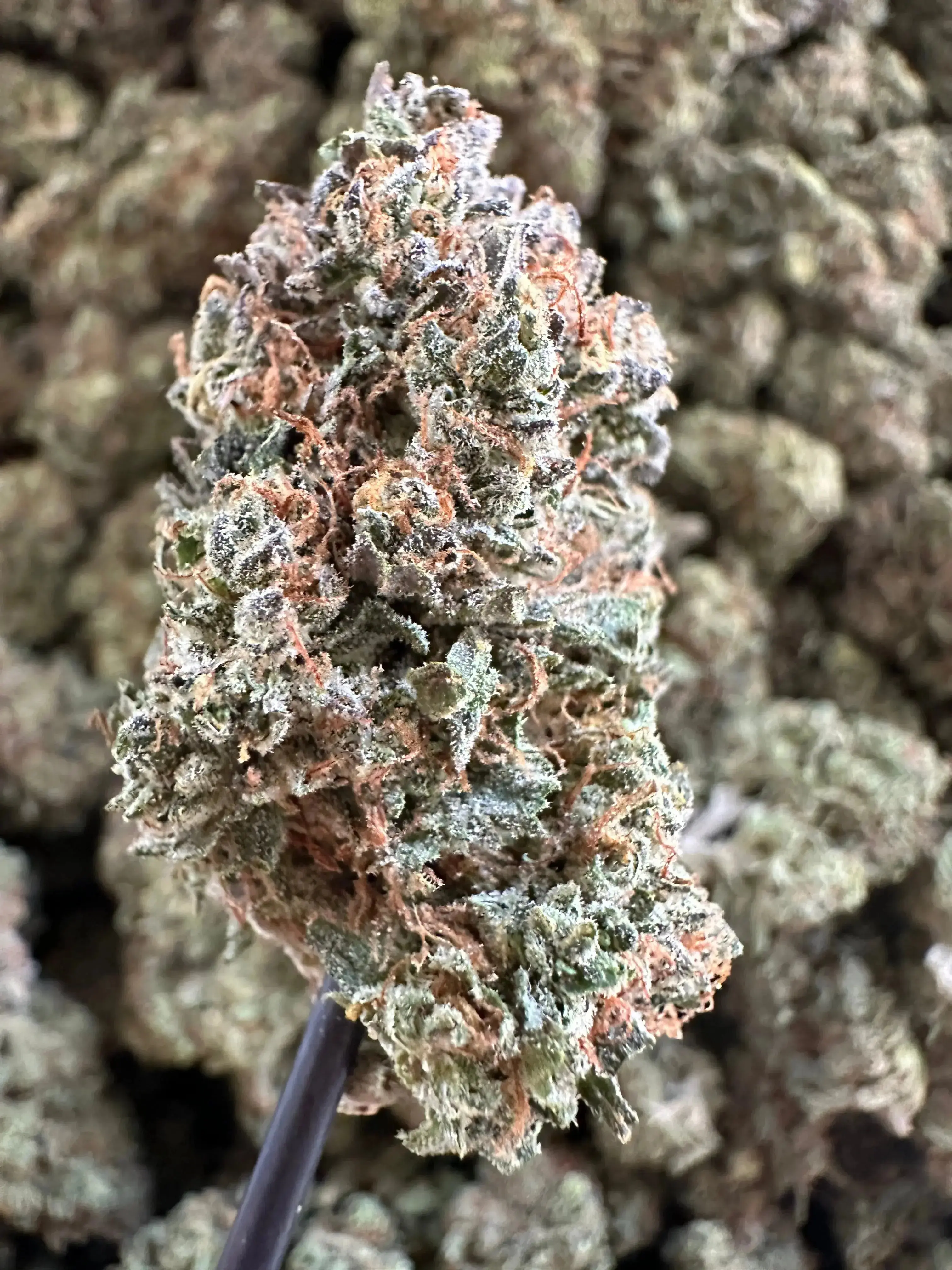 Exotic Pineapple Diesel THCA - 1 OZ - Image 2