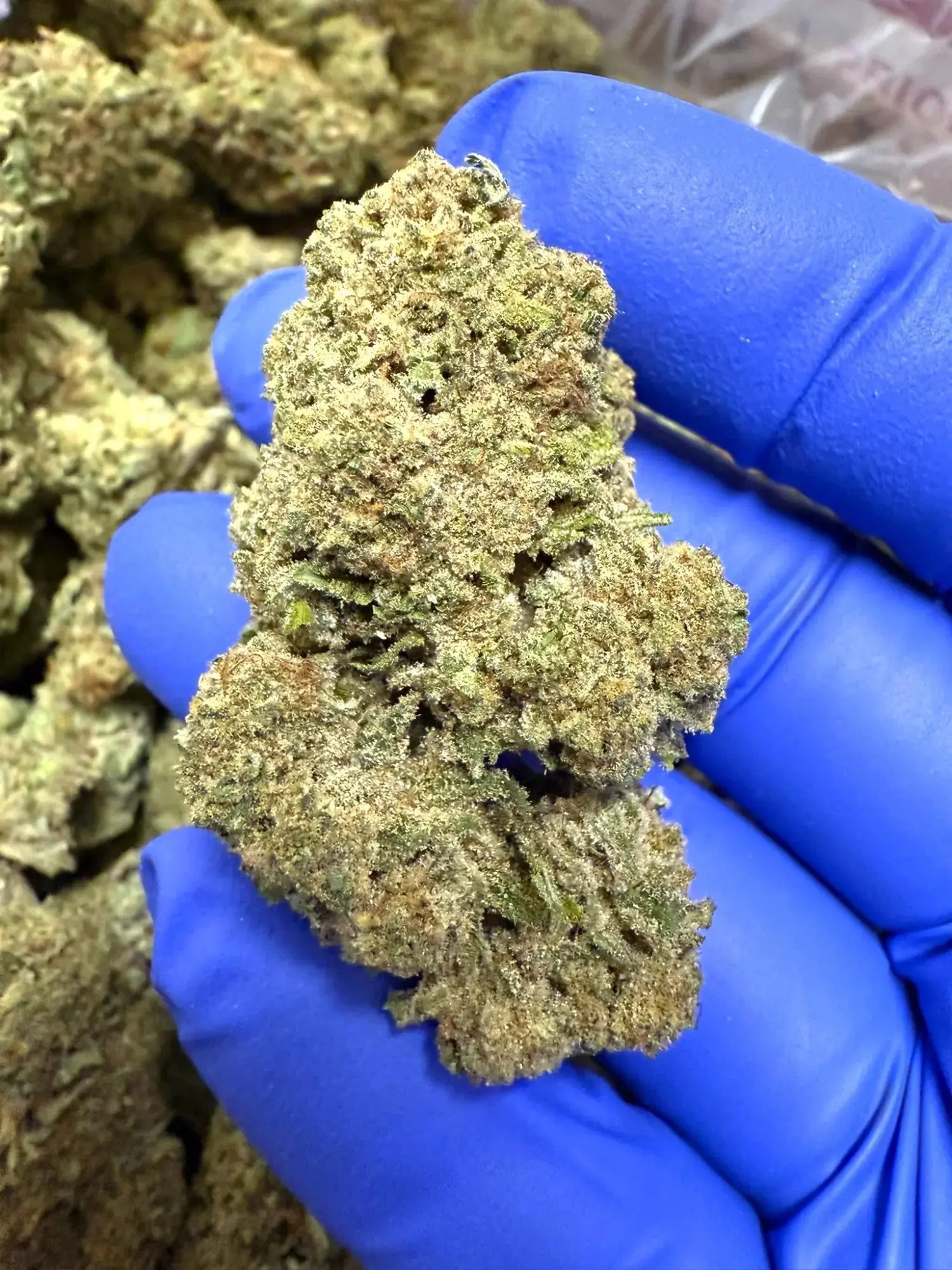 Frisco Labs - Purple Punch Strain THCA - Image 3
