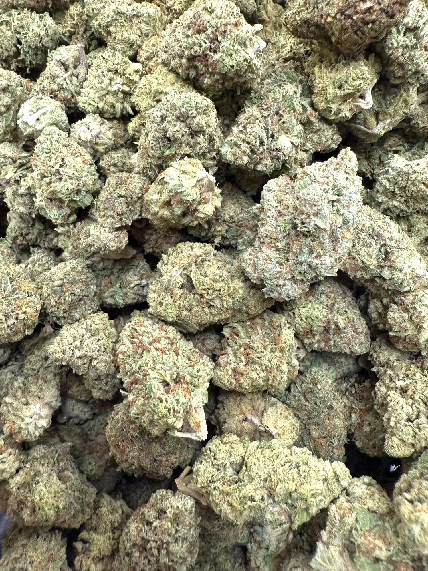 Frisco Labs - Purple Punch Strain THCA - Image 4