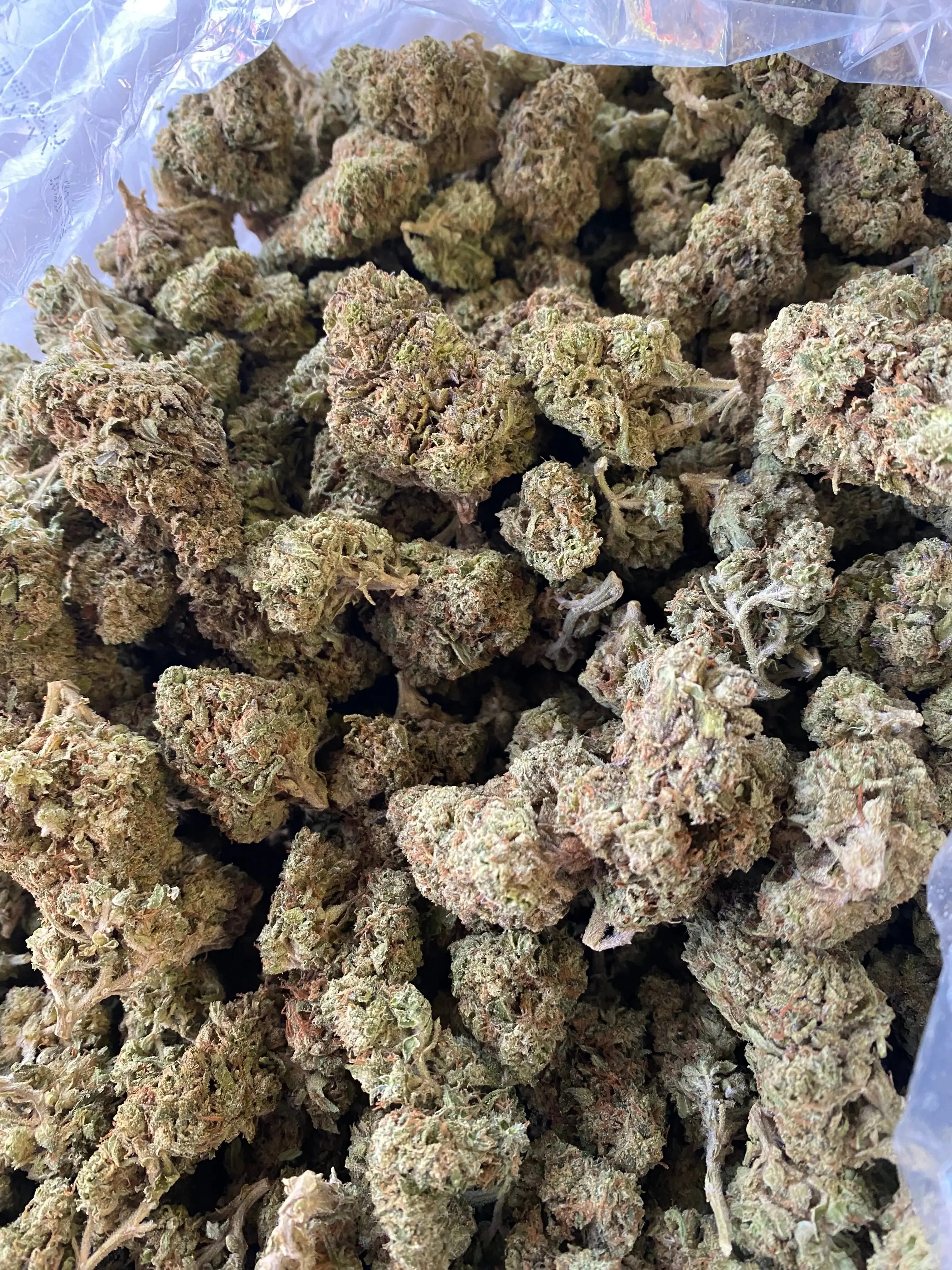 Grapefruit THCA - Image 5