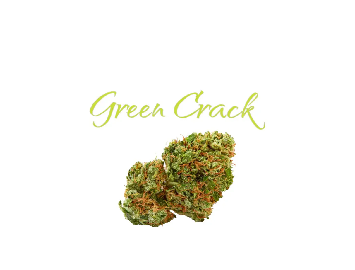 Green Crack Indoor THCa Flower