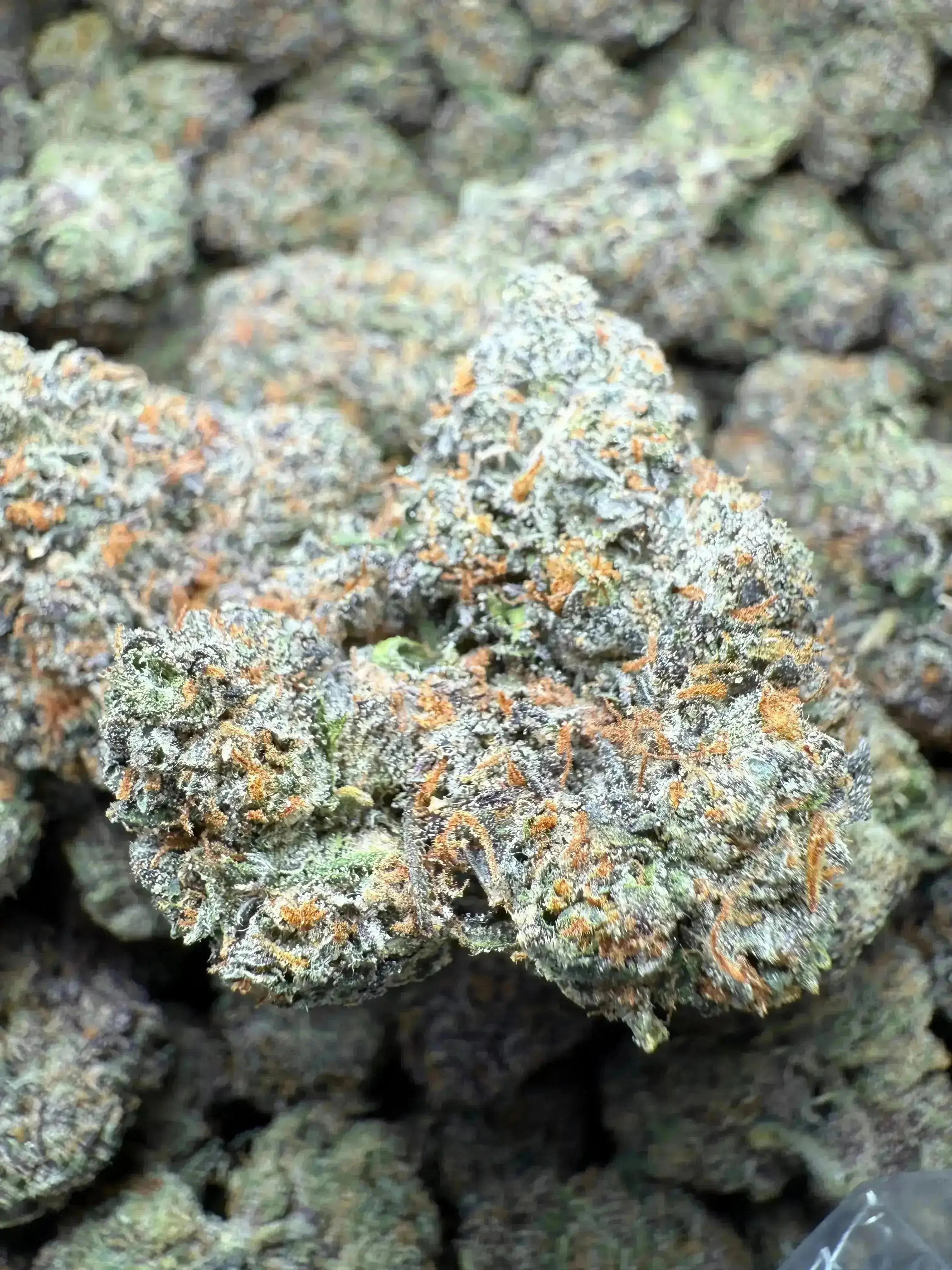 ½ oz Gary Payton THCA Flower - Image 3