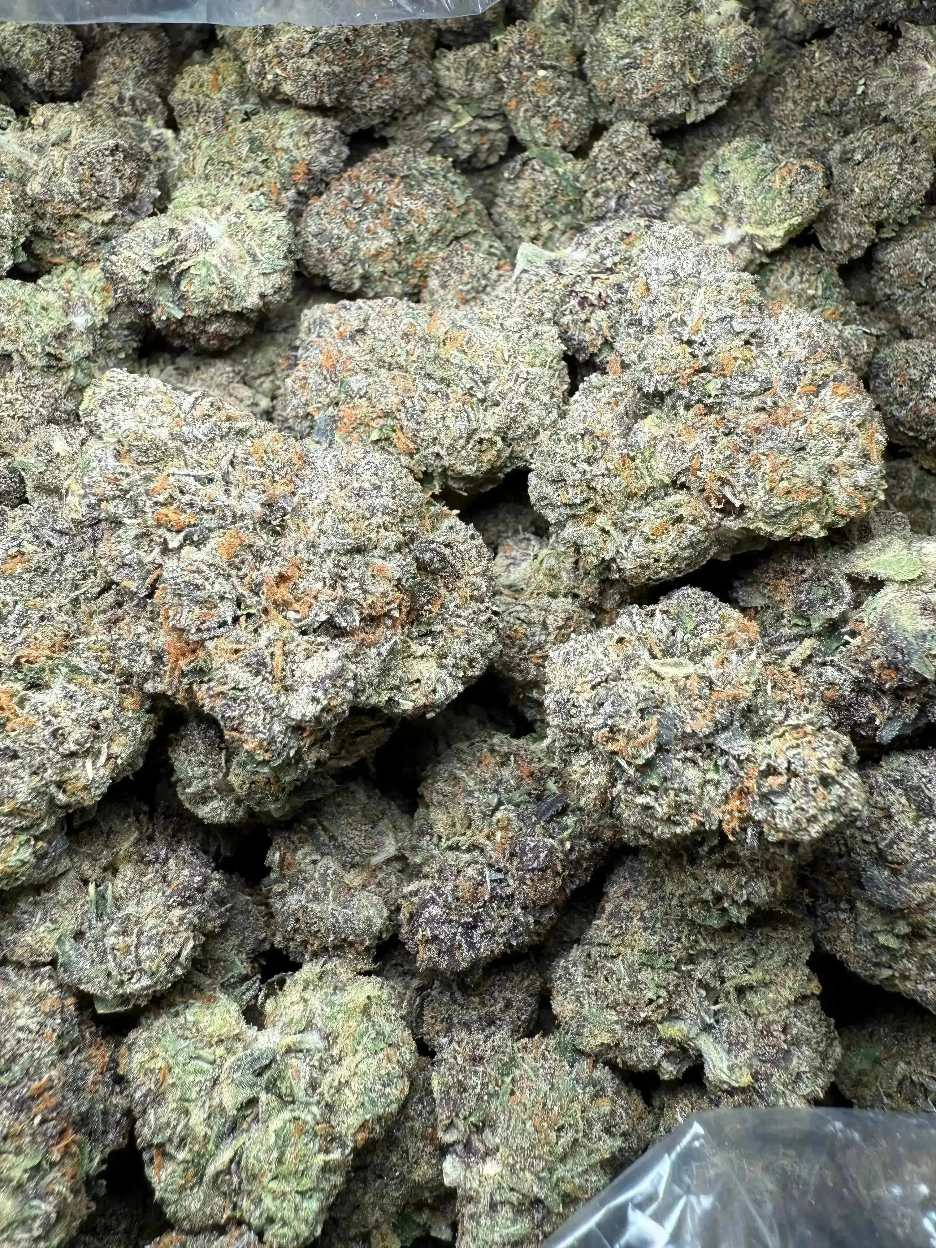 ½ oz Gary Payton THCA Flower - Image 4
