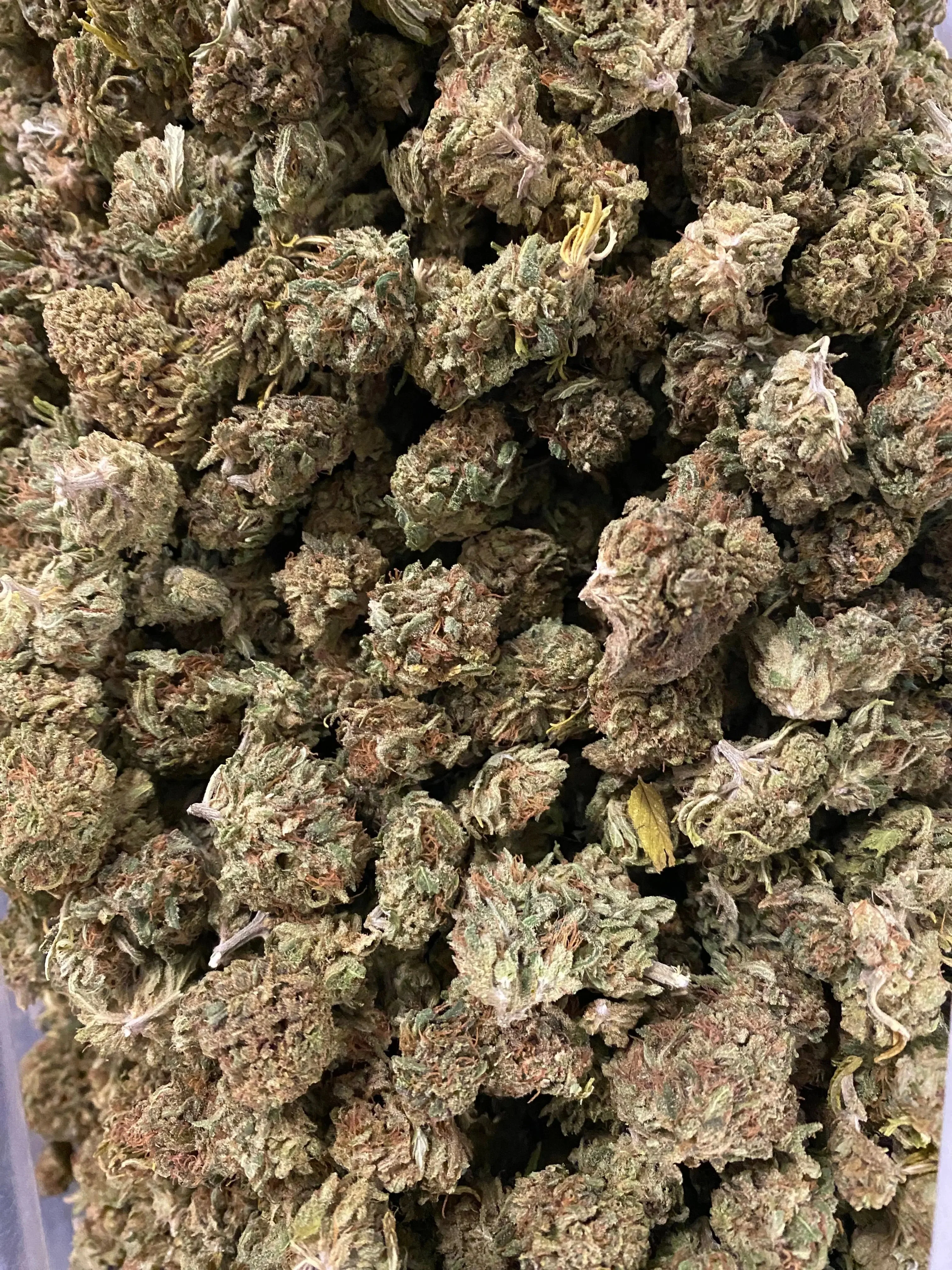 Hawaiian Dream CBD - Image 3