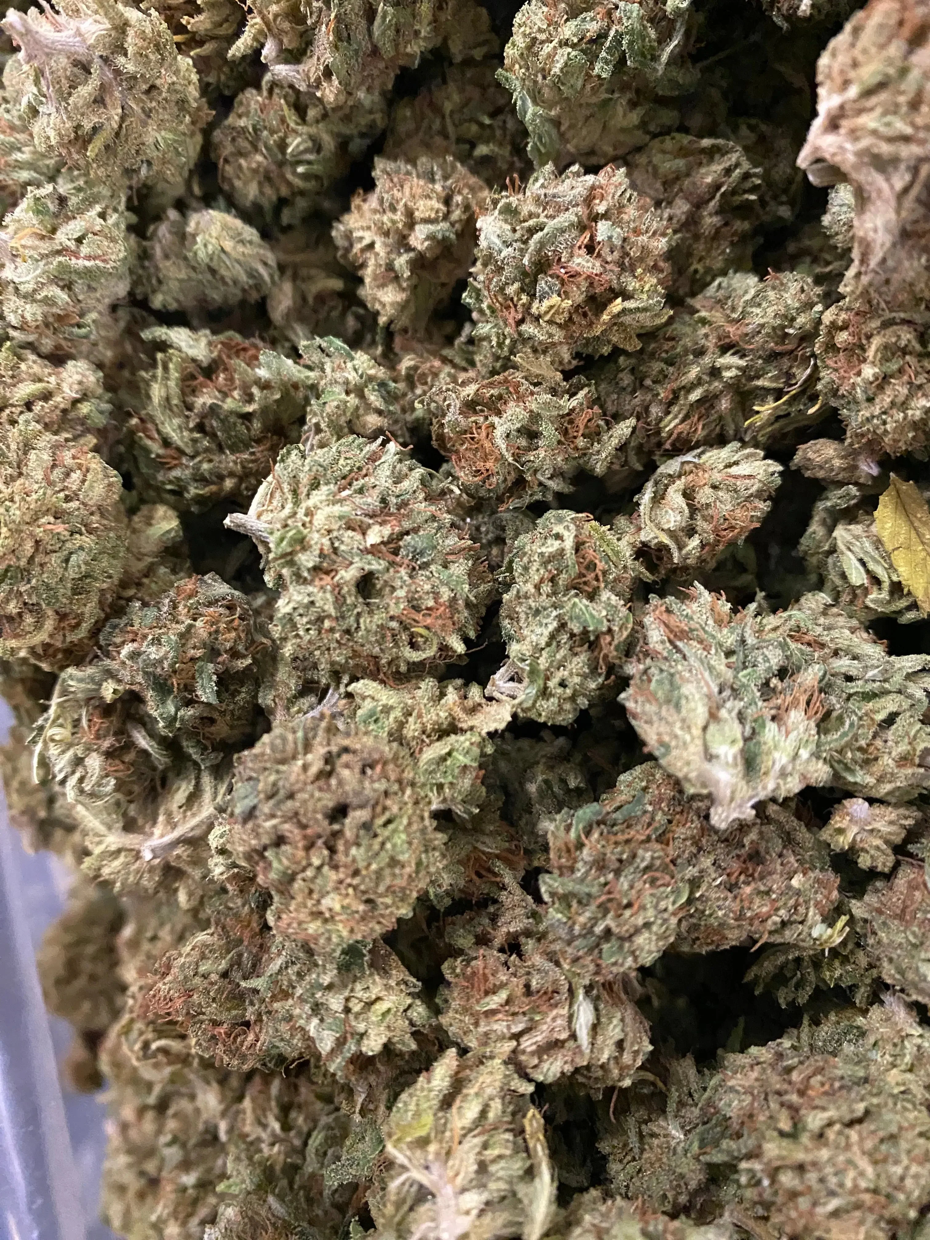 Hawaiian Dream CBD - Image 4