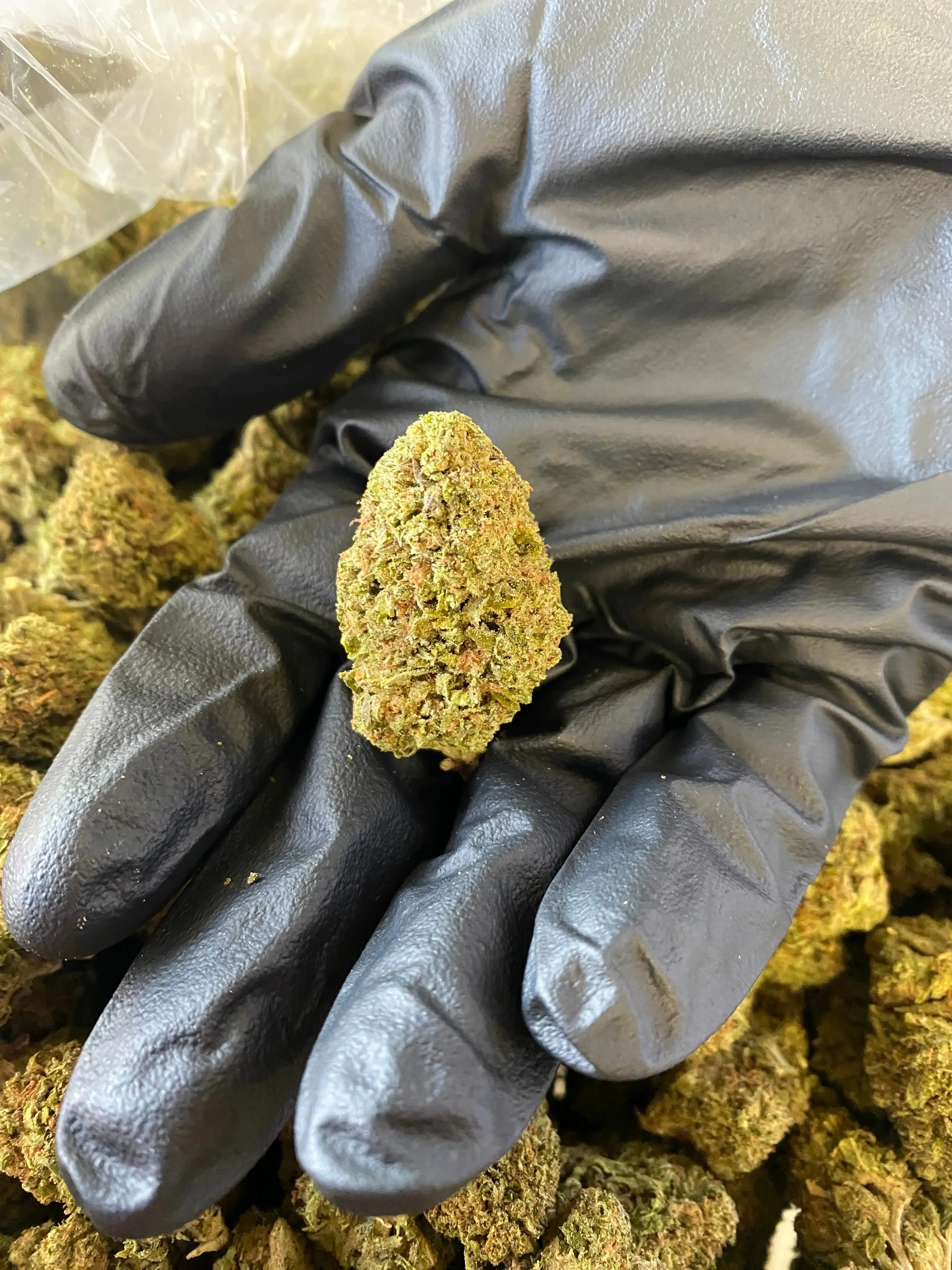 Ice Cream THCA - Image 3