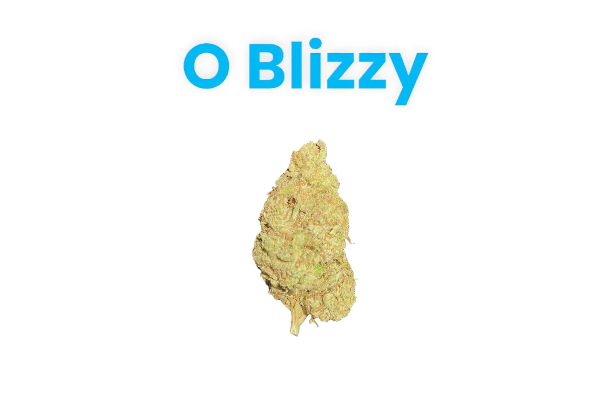 Frisco Labs  - O Blizzy THCA Strain - Image 2