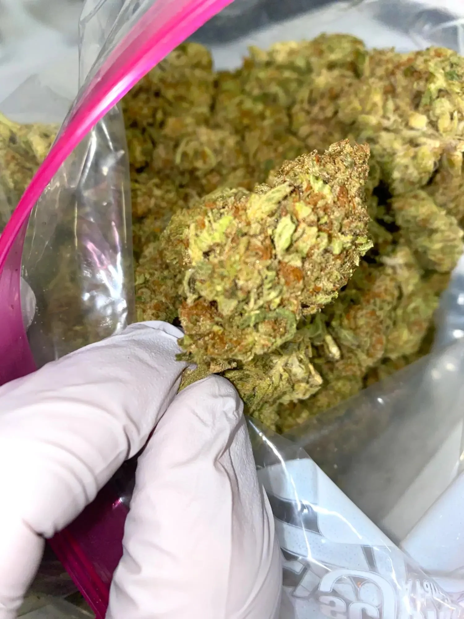 Secret Weapon THCa - Image 2