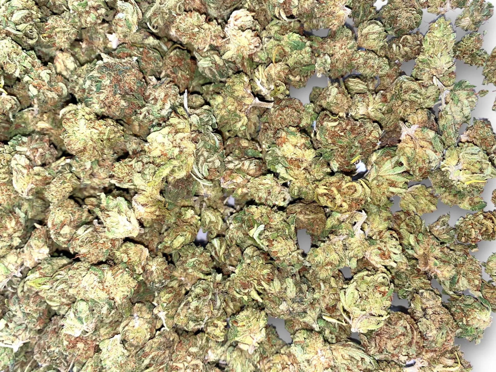 Frisco Labs - Sour Lifter CBD Strain - Image 2