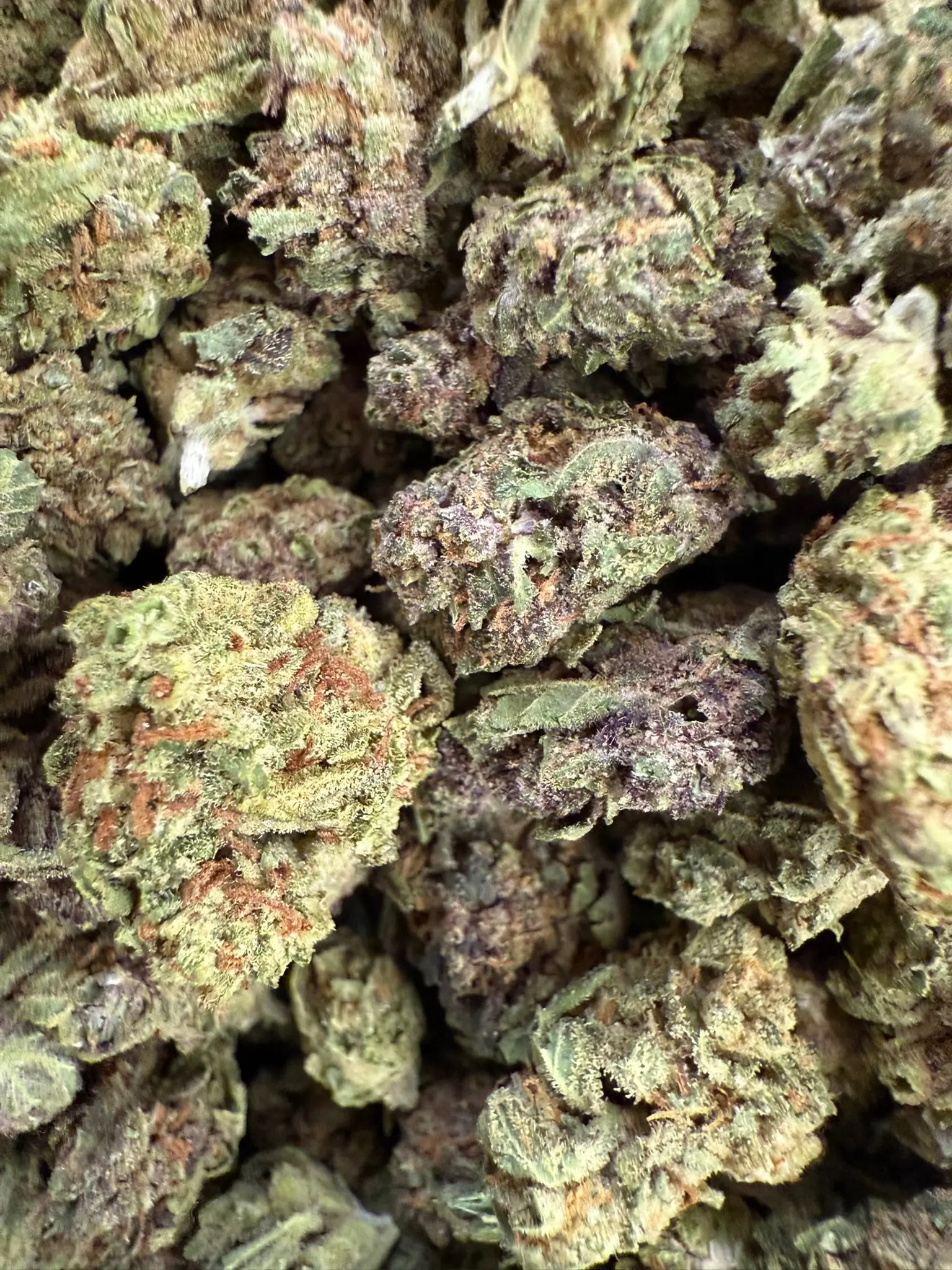 1 Pound - Tropical Sherbet THCA Smalls - Image 2