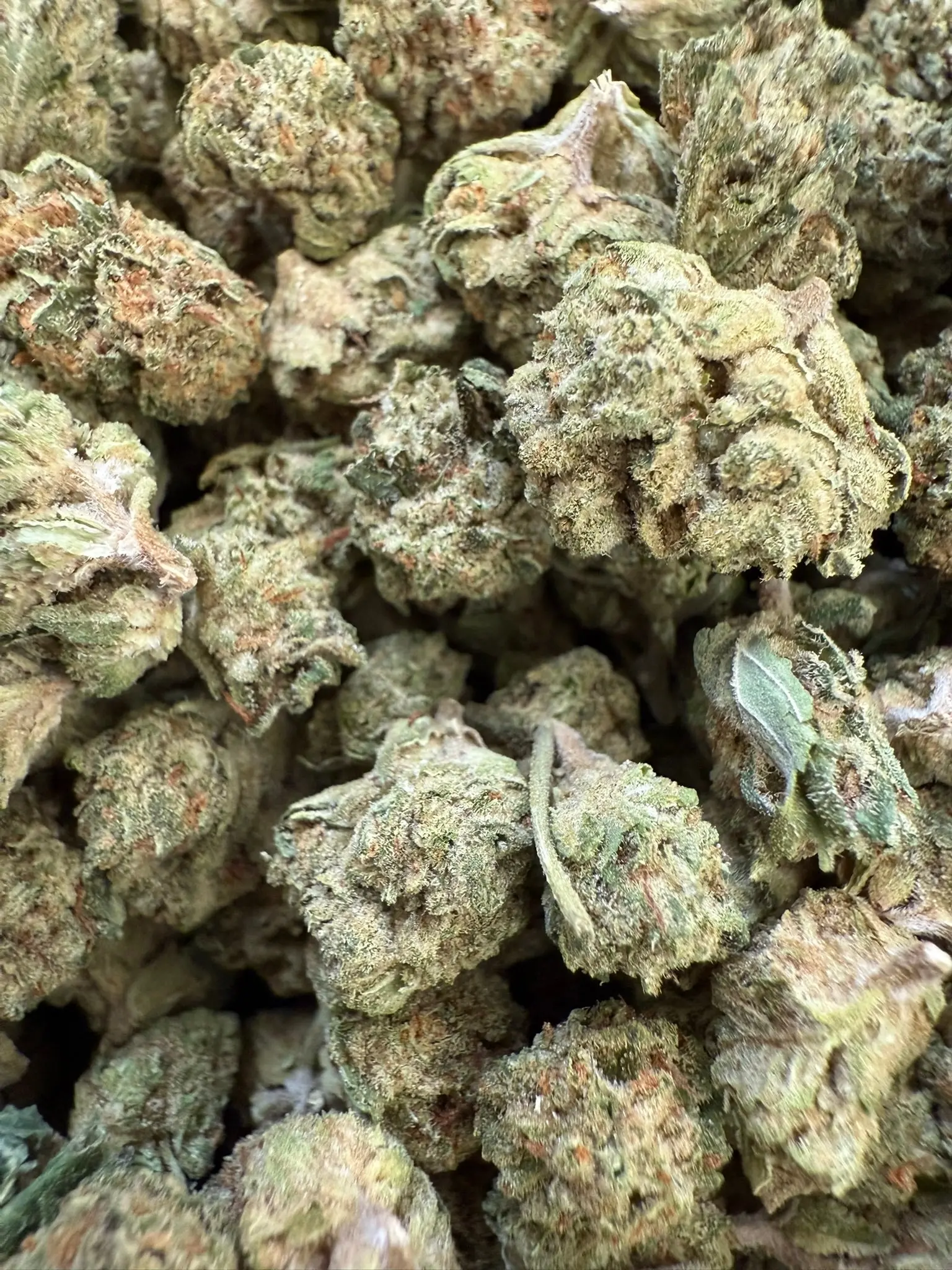 1 Pound - White Cherry Gelato (Smalls) - Image 2