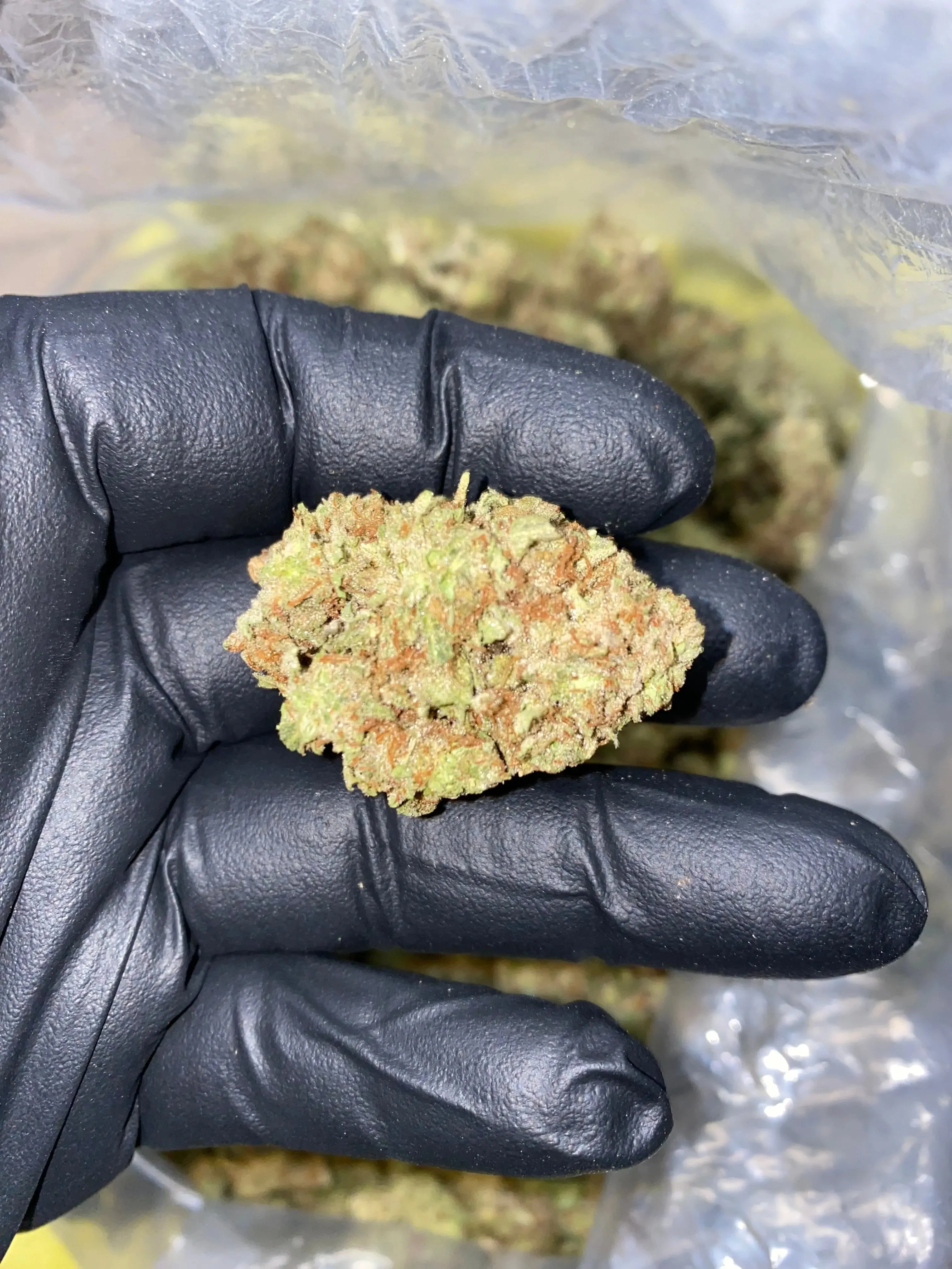 Frisco Labs - Zereal Milk THCA Strain - Image 14