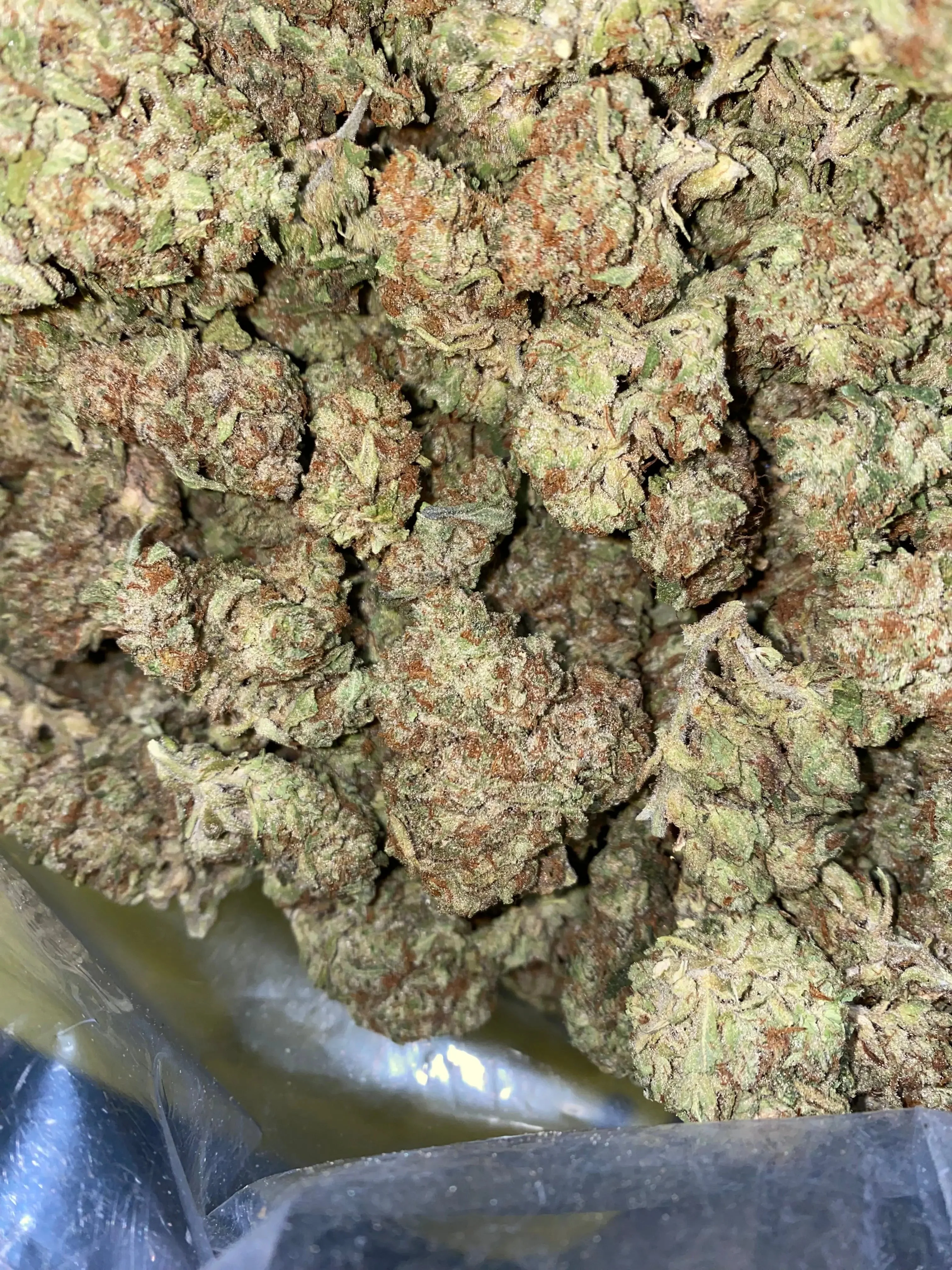 Frisco Labs - Zereal Milk THCA Strain - Image 4